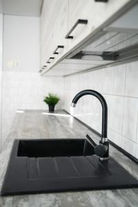 eine Küchenspüle mit einem Wasserhahn auf der Theke in der Unterkunft Apartament "Przy Dworcu" in Chojnice
