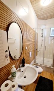 ein Bad mit einem Waschbecken, einem Spiegel und einer Dusche in der Unterkunft ELENA flat Tulpe Duisburg Zentrum in Duisburg