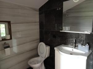 ボルシャにあるCasa Danci IIのバスルーム(トイレ、洗面台付)