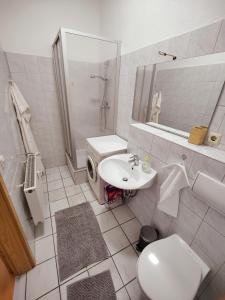 ein Bad mit einem WC, einem Waschbecken und einer Dusche in der Unterkunft YourFavoriteBed Designwohnung Nähe Zentrum und Klinikum in Plauen
