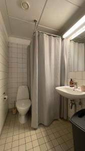 een badkamer met een toilet en een wastafel bij ApartmentInCopenhagen Apartment 1508 in Kopenhagen