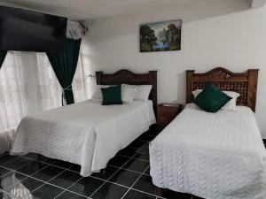 a bedroom with two beds and a flat screen tv at Gedayealdi in Zacatlán
