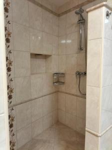 a bathroom with a shower with a glass door at Sakura Apartment in Mosonmagyaróvár +15 photos