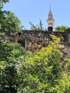 Fotografie z fotogalerie ubytování Mhna guest house بيت الضيافة الريفي v destinaci Ajloun