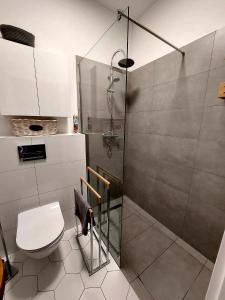 ein Bad mit einer Dusche und einem WC in der Unterkunft Apartament Prima in Lubniewice