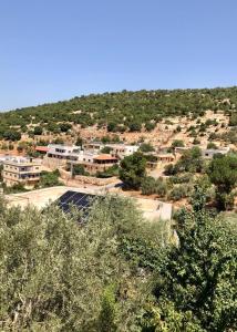 a group of buildings on a hill with trees at Mhna guest house in Ajloun