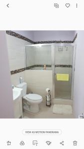 ein Badezimmer mit einem weißen WC und einer Dusche in der Unterkunft de Felice in Mount Pleasant