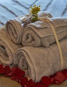 un mucchio di asciugamani e un mazzo di fiori di HOTEL LA CABANA BERGA a Berga