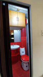 La salle de bains rouge est pourvue de toilettes et d'un lavabo. dans l'établissement Posada Rural - La Isabela, à Tópaga