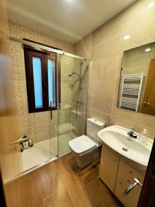 a bathroom with a toilet and a shower and a sink at Casa Rural Laguna Negra 49 in San Leonardo de Yagüe