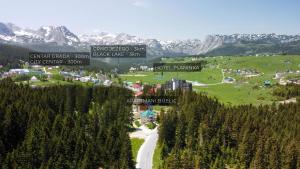 a mountain road with trees and mountains in the background at Apartmani Bijelic in Žabljak