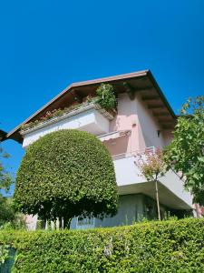 a pink building with a green bush in front of it at Ai Cappuccini, Trento a 360 gradi in Trento