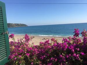 a view of a beach with purple flowers at Cap d.Azur in Roquebrune-Cap-Martin