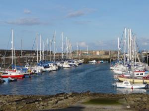 Um monte de barcos estão ancorados num porto. em Norland B & B em Lossiemouth