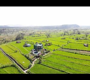 Tirtagangga谷米巴厘旅馆的田野中房屋的鸟瞰图