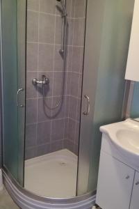 a shower with a glass door in a bathroom at Studio Barbat 11472a in Rab