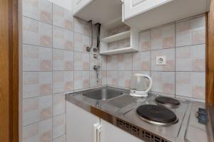 małą kuchnię ze zlewem i kuchenką mikrofalową w obiekcie Apartment Sumpetar 11462a w mieście Jesenice