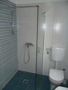 a bathroom with a toilet and a glass shower at Apartments by the sea Savar, Dugi otok - 11540 in Brbinj
