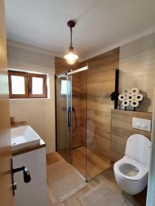 a bathroom with a shower and a toilet and a sink at Secluded fisherman's cottage Cove Donje More, Pasman - 11515 in Tkon