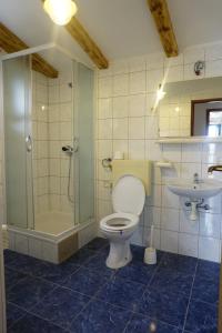 a bathroom with a toilet and a shower and a sink at Secluded fisherman's cottage Cove Donje More, Pasman - 11515 in Tkon