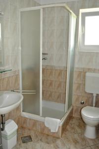a bathroom with a shower and a toilet and a sink at Apartments with a parking space Selce, Crikvenica - 11527 in Selce