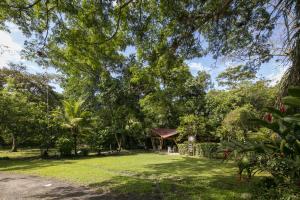 Fotografie z fotogalerie ubytování Rionegro Ecolodge v destinaci Tobia