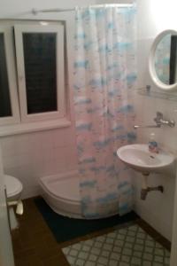 ein Bad mit einem Waschbecken, einem WC und einer Dusche in der Unterkunft Apartments by the sea Drvenik Donja vala, Makarska - 11553 in Drvenik