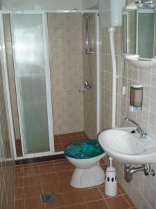 a bathroom with a toilet and a sink and a shower at Apartments by the sea Drace, Peljesac - 11502 in Janjina