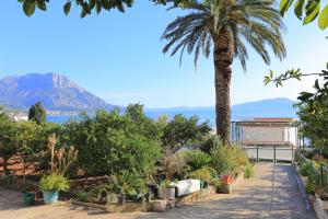 a palm tree in a garden with a mountain in the background at Apartment Podaca 11588a in Podaca