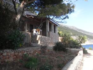 Príroda v okolí apartmánu + 15 fotografií