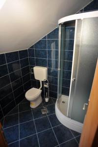 Ένα μπάνιο στο Holiday house with a swimming pool Sutivan, Brac - 11496 +15 φωτογραφίες