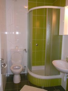 a green bathroom with a toilet and a sink at Apartment Sveta Nedilja 13753e in Jelsa +17 photos