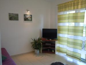 Fotografie z fotogalerie ubytování Apartment Sveta Nedilja 13753d v destinaci Jelsa