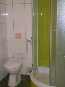 Fotografie z fotogalerie ubytování Apartment Sveta Nedilja 13753d v destinaci Jelsa