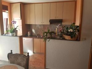 a kitchen with a counter with potted plants on it at Apartments with a parking space Omis - 13785 in Omiš