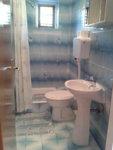 La salle de bains est pourvue de toilettes et d'un lavabo. dans l'établissement Apartments with a parking space Grebastica, Sibenik - 13860, à Bašelovići