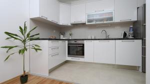 Kuchyňa alebo kuchynka v ubytovaní Apartments with a parking space Makarska - 13871 + 8 fotografií