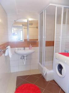 a bathroom with a sink and a washing machine at Apartments with a parking space Matulji, Opatija - 13890 in Matulji