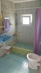 a bathroom with a shower and a sink and a toilet at Apartments with a parking space Rudina, Hvar - 13903 in Stari Grad