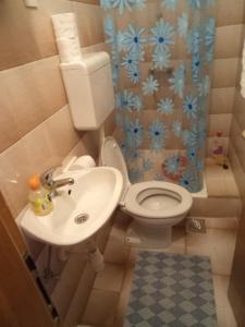 a small bathroom with a toilet and a sink at Apartments and rooms with parking space Makarska - 13979 in Makarska