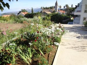 Gallery image of Studio Lopud 14013a in Lopud Island