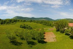 an aerial view of a field with trees and mountains at Double Room Smoljanac 14023b in Smoljanac