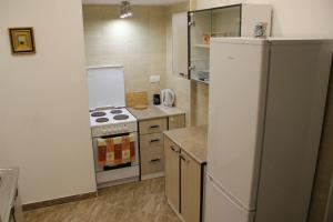 a small kitchen with a stove and a refrigerator at Apartments with WiFi Rijeka - 14061 in Rijeka