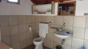 a bathroom with a toilet and a sink at Family friendly house with a swimming pool Popovici, Zagora - 14074 in Benkovac +10 photos
