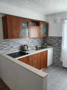 Kuchyň nebo kuchyňský kout v ubytování Apartments by the sea Tucepi, Makarska - 2699 + 31 fotografií