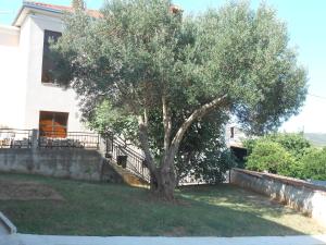 Zahrada ubytování Apartments with a parking space Okrug Gornji, Ciovo - 13859