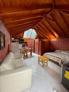 a large room with a bed and a kitchen at Cabañas Los Olmos in San José de Maipo