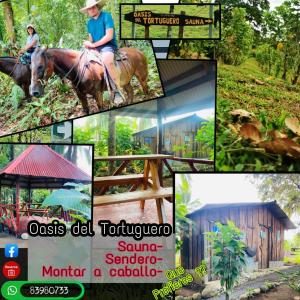 Fotografie z fotogalerie ubytování Oasis del Tortuguero v destinaci Cariari