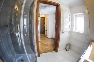 a bathroom with a walk in shower and a mirror at Apartament Lazur in Piła