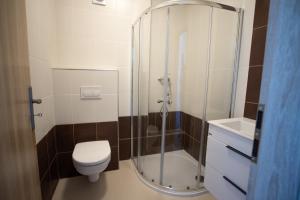 a bathroom with a shower and a toilet and a sink at TINA Apartments in Černá v Pošumaví +16 photos
